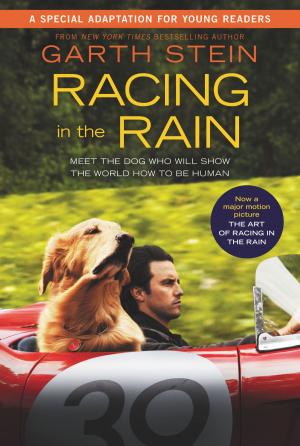 Cover of the book Racing in the Rain by Josiane Francés
