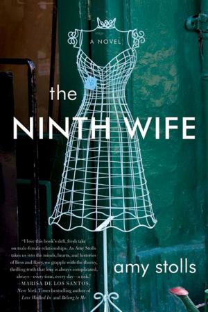 Cover of the book The Ninth Wife by Jim St. Germain, Jon Sternfeld