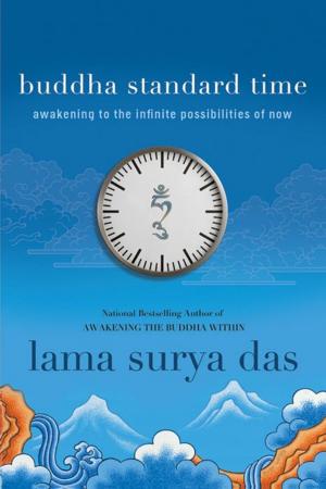 Book cover of Buddha Standard Time