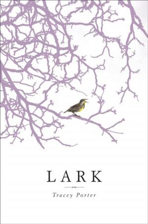 Cover of the book Lark by William Boniface
