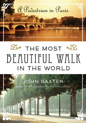 Cover of the book The Most Beautiful Walk in the World by Ursula K. Le Guin