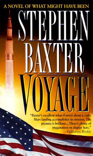 Cover of the book Voyage by Michael Crichton