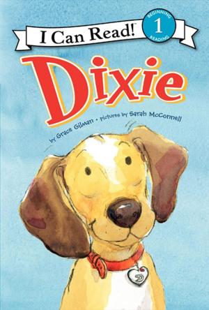 Cover of the book Dixie by Andrew Jacobson, Adam Jay Epstein