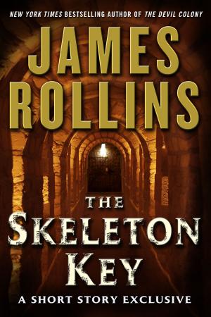 Cover of the book The Skeleton Key: A Short Story Exclusive by Ashley Fetterman
