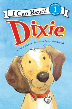 Cover of the book Dixie by Meaghan Wilson Anastasios