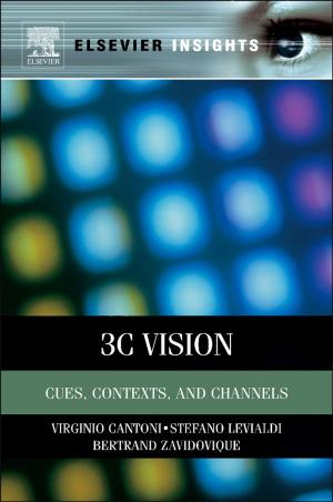 Cover of the book 3C Vision by Christo Christov, Tatyana Karabencheva-Christova