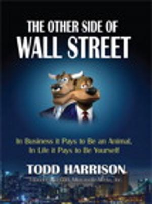 Cover of the book The Other Side of Wall Street by Gini Dietrich, Geoff Livingston