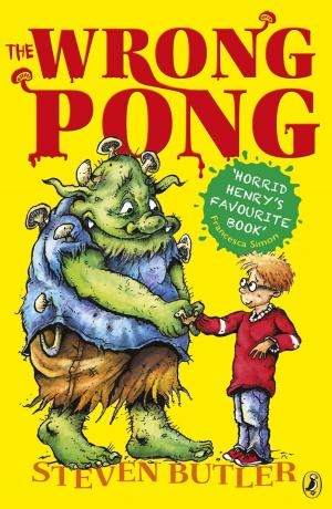 Cover of the book The Wrong Pong by Barbara Hannay