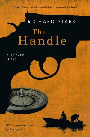 Cover of the book The Handle by Hollis Seamon