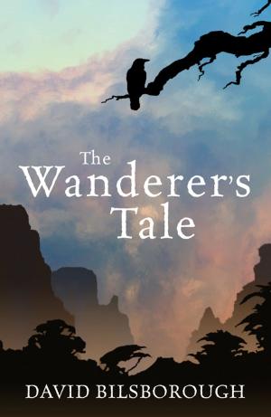 Book cover of The Wanderer's Tale
