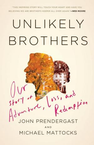 Cover of the book Unlikely Brothers by Dietmar Zöller