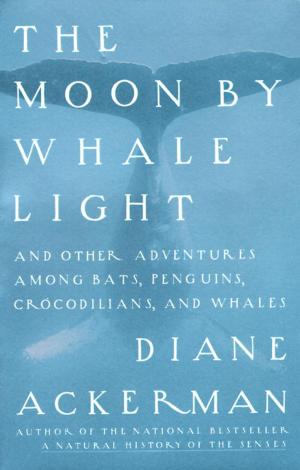 Cover of the book Moon By Whale Light by Dan Barden