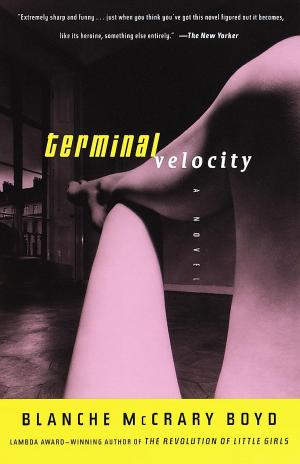 Cover of the book Terminal Velocity by Vladimir Nabokov