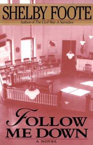 Book cover of Follow Me Down