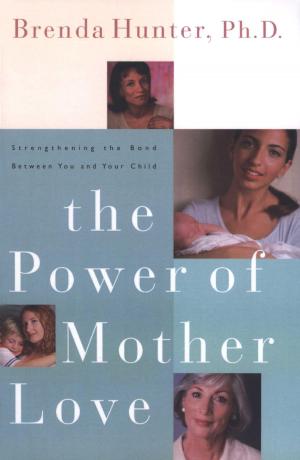 Cover of the book The Power of Mother Love by Beth Felker Jones