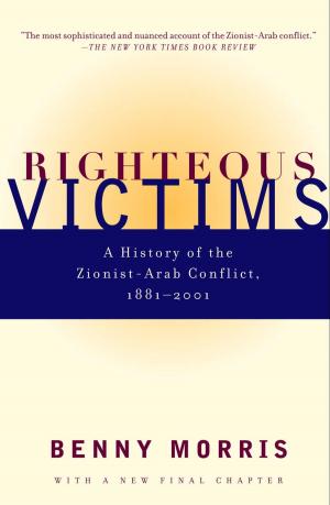 Book cover of Righteous Victims
