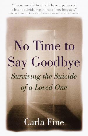 Book cover of No Time to Say Goodbye