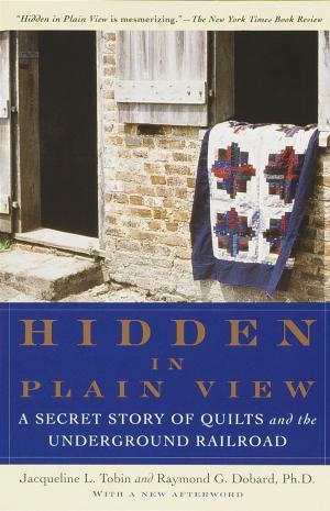 Cover of the book Hidden in Plain View by David E. Hoffman