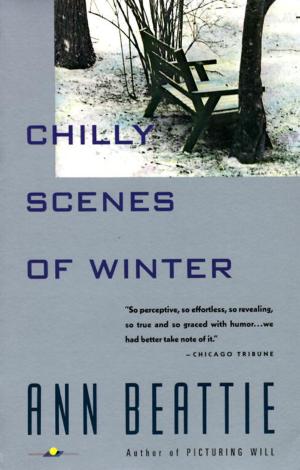 Book cover of Chilly Scenes of Winter