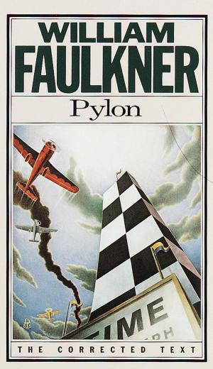 Book cover of Pylon
