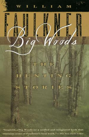 Cover of the book Big Woods by Donald Justice