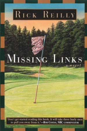 bigCover of the book Missing Links by 