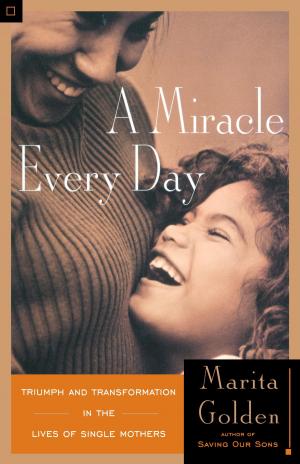 Cover of the book A Miracle Every Day by Denis Leary