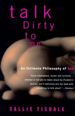 Cover of the book Talk Dirty to Me by Patricia Meyer Spacks