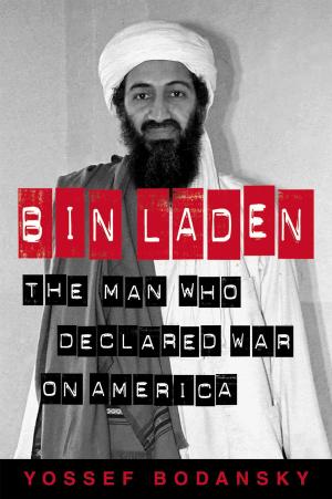 Cover of the book bin Laden by Nancy Jo Sullivan, Jane Kise