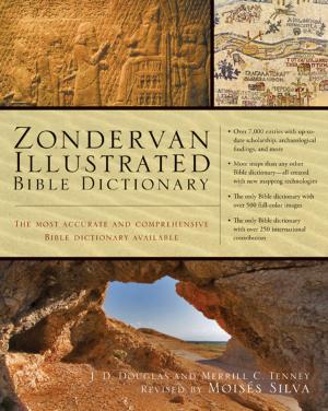 Book cover of Zondervan Illustrated Bible Dictionary