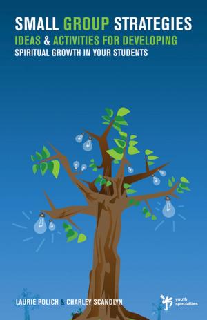 Cover of the book Small Group Strategies by Dave Ferguson, Jon Ferguson