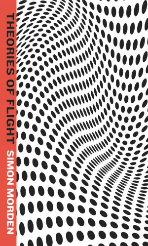 bigCover of the book Theories of Flight by 