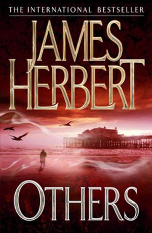 Cover of the book Others by Maeve Haran