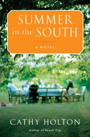 Cover of the book Summer in the South by Ashlyn Macnamara