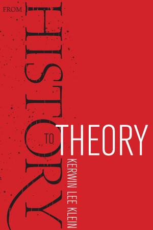 Cover of the book From History to Theory by Daniel W. Park