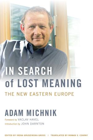 Cover of the book In Search of Lost Meaning by Carol Hakim
