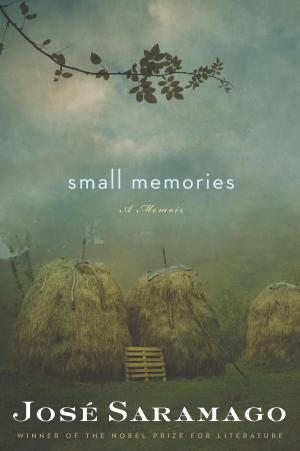 Cover of the book Small Memories by A. B. Yehoshua