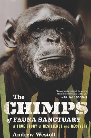 Cover of the book The Chimps of Fauna Sanctuary by Bethany Roberts
