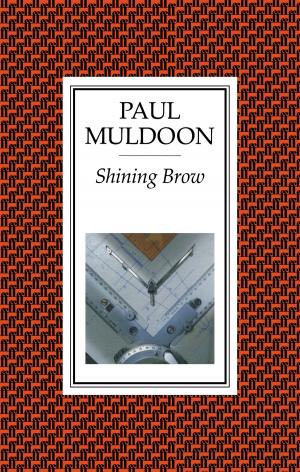 Cover of the book Shining Brow by Emma Carroll