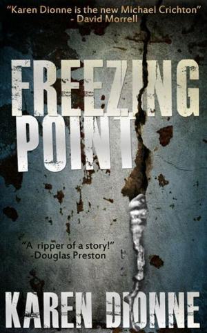 Cover of the book Freezing Point by Wendy Schuchmann