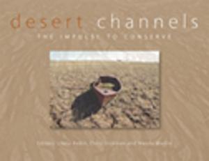 bigCover of the book Desert Channels by 