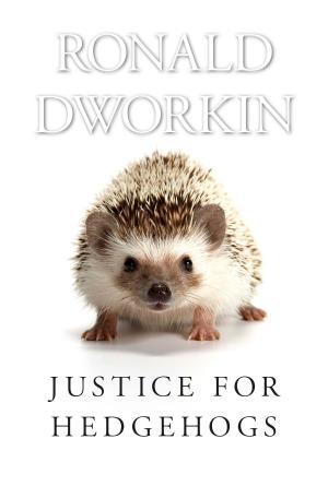 Cover of the book Justice for Hedgehogs by 