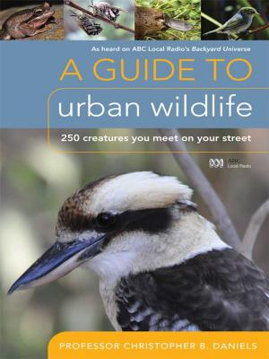 Book cover of A Guide To Urban Wildlife