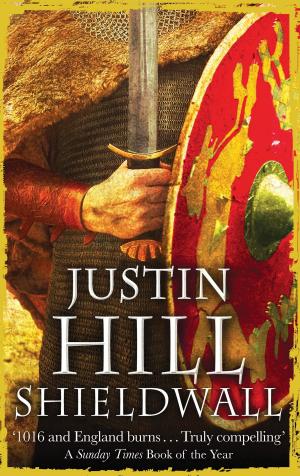 Cover of the book Shieldwall by Helen Stevenson