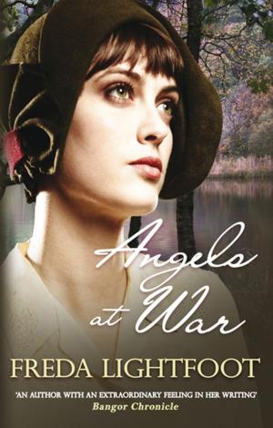 Cover of the book Angels at War by Emily Gillespie