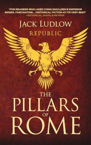 Cover of the book The Pillars of Rome by David Donachie