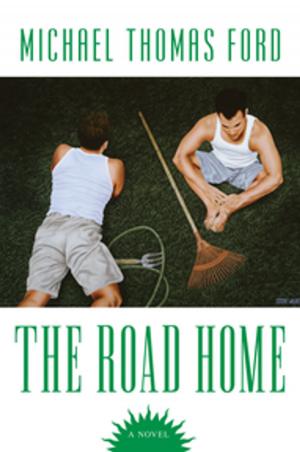 Cover of the book The Road Home by Faye Snowden
