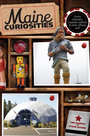 Cover of the book Maine Curiosities by Nicole Augenti