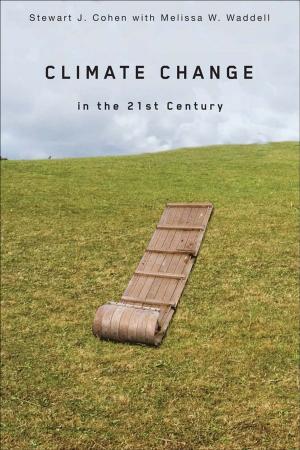 Cover of the book Climate Change in the 21st Century by Peter Swirski