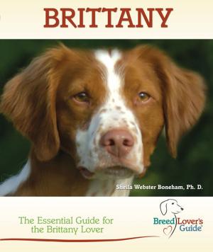 Cover of the book Brittany by Adam Black